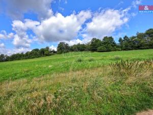 Prodej pozemku pro bydlení, Lipnice nad Sázavou, 3300 m2