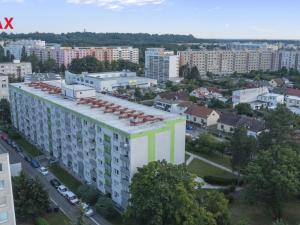 Prodej bytu 1+kk, Hradec Králové - Nový Hradec Králové, Brožíkova, 35 m2