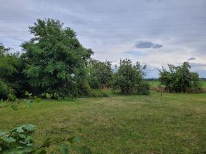 Prodej rodinného domu, Staré Hradiště - Brozany, 149 m2