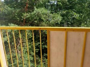 Pronájem bytu 1+1, Valašské Meziříčí, Sokolská, 36 m2