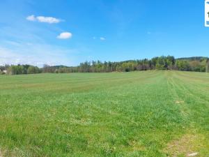 Prodej pole, Skalná - Vonšov, 77680 m2