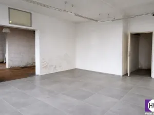 Prodej obchodního prostoru, Jílové u Prahy - Radlík, 159 m2