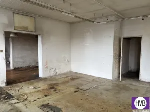 Prodej obchodního prostoru, Jílové u Prahy - Radlík, 159 m2