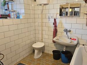Prodej rodinného domu, České Budějovice, Haklovy Dvory, 400 m2
