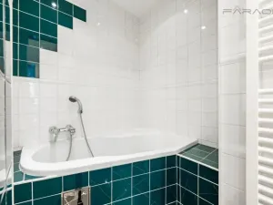 Pronájem bytu 5+kk, Praha - Nové Město, Dřevná, 250 m2