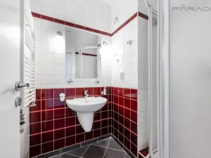 Pronájem bytu 5+kk, Praha - Nové Město, Dřevná, 250 m2