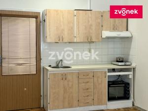 Pronájem bytu 1+kk, Zlín, Dětská, 29 m2