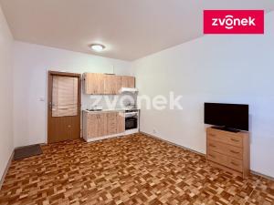 Pronájem bytu 1+kk, Zlín, Dětská, 29 m2