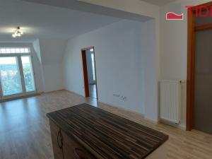 Pronájem bytu 4+kk, Praha, U Havlíčkových sadů, 100 m2