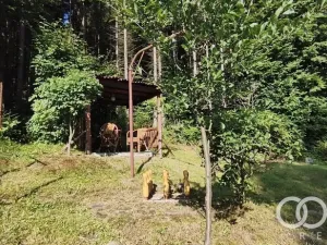 Prodej chaty, Bystřička, 130 m2