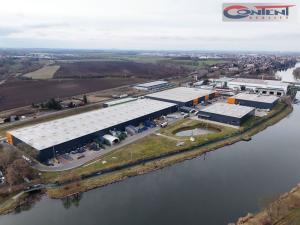 Pronájem výrobních prostor, Zápy, 2622 m2