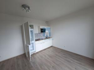 Pronájem bytu 1+kk, Plzeň, Technická, 29 m2