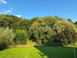 Prodej rodinného domu, Rychnov na Moravě, 117 m2