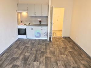 Pronájem bytu 1+kk, Ostrava - Výškovice, Lumírova, 26 m2