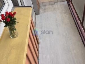 Pronájem bytu 1+kk, Ostrava - Výškovice, Lumírova, 26 m2