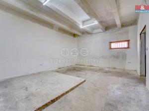 Pronájem výrobních prostor, Borovy, 168 m2