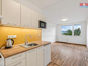 Prodej bytu 2+kk, Teplice - Trnovany, Trnovanská, 42 m2