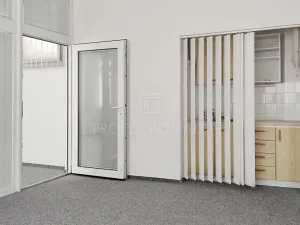 Pronájem kanceláře, Praha - Nové Město, Opletalova, 56 m2