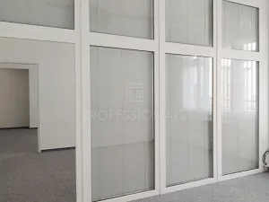 Pronájem kanceláře, Praha - Nové Město, Opletalova, 56 m2