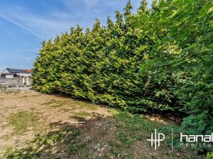 Pronájem bytu 1+kk, Uničov, Nemocniční, 36 m2