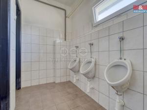 Pronájem výrobních prostor, Nepomuk - Dvorec, 378 m2
