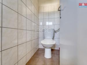 Pronájem výrobních prostor, Nepomuk - Dvorec, 378 m2