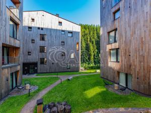 Pronájem bytu 1+kk, Pec pod Sněžkou, 38 m2