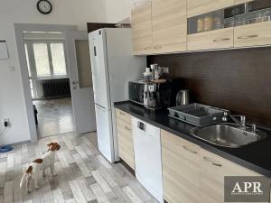 Pronájem bytu 2+1, Uherský Brod, Svat. Čecha, 80 m2