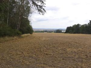 Dražba zahrady, Heřmanova Huť, 1100 m2