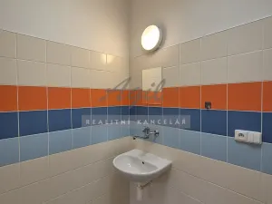 Pronájem kanceláře, Šlapanice, 293 m2