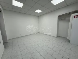 Pronájem obchodního prostoru, Benešov, Tyršova, 23 m2