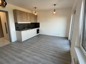 Pronájem bytu 1+kk, Praha - Chodov, Šternovská, 42 m2