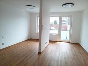 Pronájem bytu 1+kk, České Budějovice - České Budějovice 3, Riegrova, 48 m2