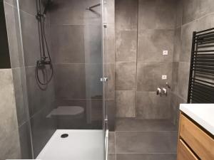 Pronájem bytu 1+kk, České Budějovice - České Budějovice 3, Riegrova, 48 m2