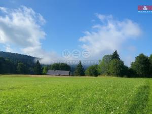 Prodej louky, Kořenov - Rejdice, 7880 m2