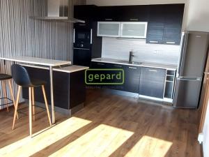 Pronájem bytu 2+kk, České Budějovice, Papírenská, 41 m2
