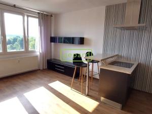 Pronájem bytu 2+kk, České Budějovice, Papírenská, 41 m2