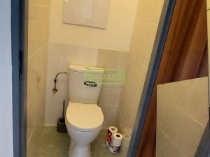 Pronájem bytu 2+kk, České Budějovice, Papírenská, 41 m2