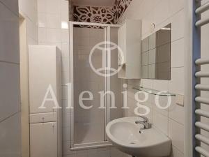 Pronájem bytu 1+kk, Praha - Smíchov, Na Březince, 18 m2