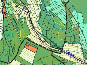 Dražba lesa, Železný Brod, 12622 m2