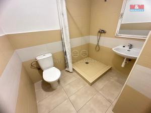 Pronájem bytu 1+kk, Dobrovice, Komenského, 20 m2