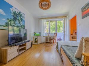 Prodej bytu 1+kk, Ostrava, Sokolovská, 24 m2