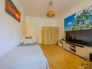 Prodej bytu 1+kk, Ostrava, Sokolovská, 24 m2