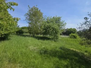 Prodej pozemku pro bydlení, Maršovice, Maršovice, 731 m2