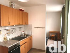 Pronájem bytu 1+1, Karlovy Vary, Nejdlova, 37 m2