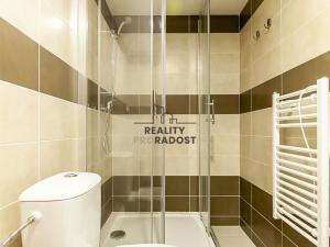Pronájem bytu 1+kk, Brno, Hybešova, 23 m2