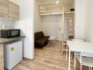 Pronájem bytu 1+kk, Brno, Hybešova, 23 m2