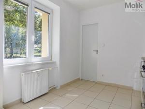 Pronájem bytu 1+1, Most, Lesní, 28 m2