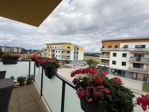Prodej bytu 3+kk, České Budějovice - České Budějovice 7, Rožnovská, 75 m2