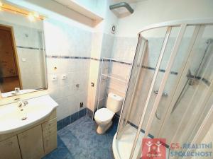 Prodej bytu 1+kk, Dobšice, V Zahradách, 29 m2